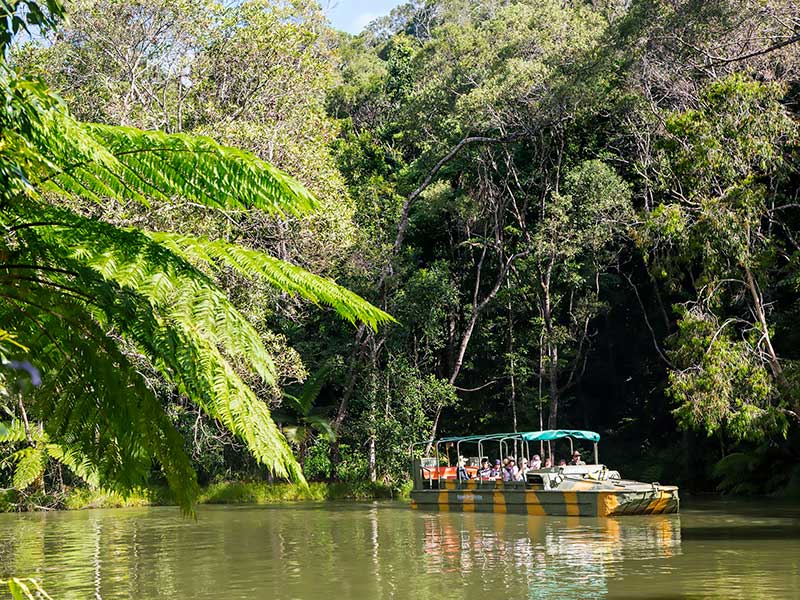 army duck rainforest tour