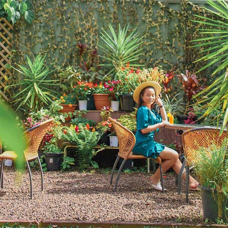 rainforestation cafe kuranda